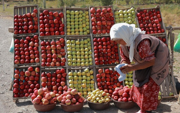 Світові ціни на продукти рекордно знизилися - ООН