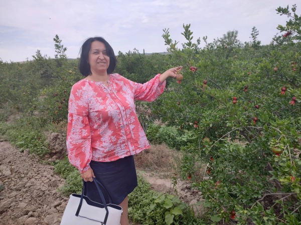 Експерт СБ Оксана Руженкова: Наші ціни наближаються до європейських, але 2 євро за батон – це перебір