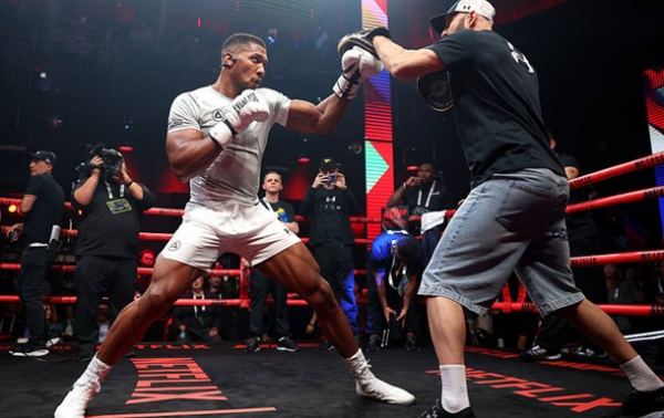 Українець, що тренував Джошуа до бою з Полом, говорить за бокс як за вагоме