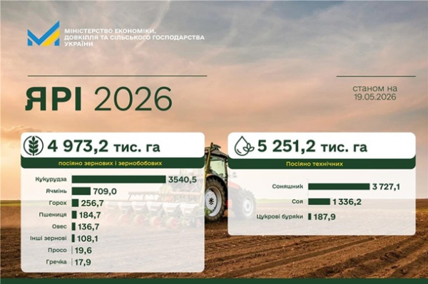 Українські аграрії засіяли 83% площ зернових