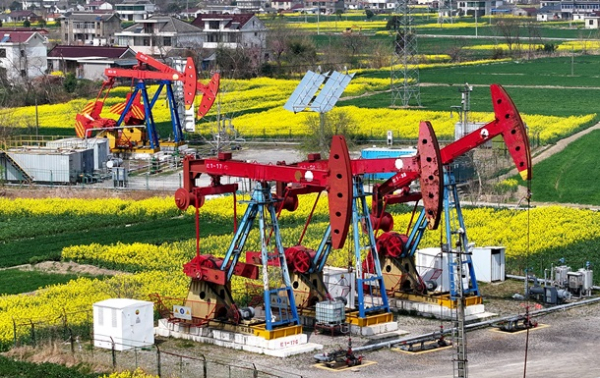 Ціни на нафту зросли після обвалу