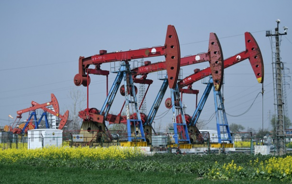 Ціни на нафту падають через переговори Ірану та Оману