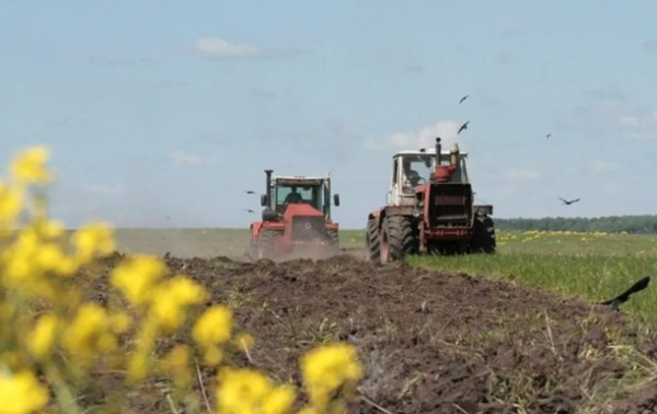 В Україні озимими зерновими засіяли понад 740 тис. га
