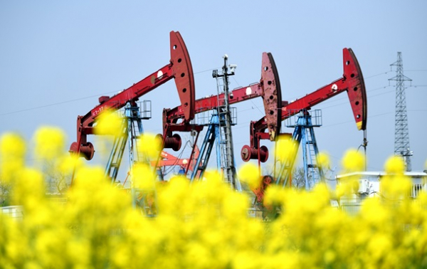 Ціни на нафту за тиждень зросли, а дизель у США побив рекорд